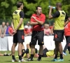 Marc Wilmots beseft dat de defensieve problemen nefast zijn voor de EK-kansen