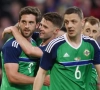 VIDEO: Stadion in Belfast ontploft op moment dat Will Grigg mag invallen