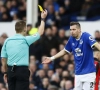 Morgan Schneiderlin gaat terug in Frankrijk voetballen