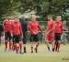 Royal Antwerp FC haalt versterking in amateurklasse