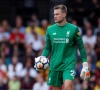 Overzicht Premier League: Mignolet houdt de nul tegen Benteke, Defour onderuit, invalbeurt voor Kabasele