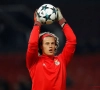 Mile Svilar vroeg bij Benfica om een uitleenbeurt