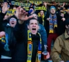 OFFICIEEL: Westerlo beloont huurling met defintief contract: "Fans zullen hem graag zien komen"