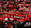 Benfica is er aan begonnen in het vrouwenvoetbal met ... 28-0! 