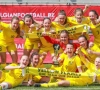 "David tegen Goliath": Voetbal Vlaanderen moet inbinden met project Yellow Flames, clubs halen slag thuis