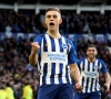 Rondje Premier League: Trossard en Brighton zijn gered, Wolves behoudt waterkansje op Europees voetbal