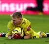 Tottenham-fan die doelman van Arsenal schopte kent al zijn straf