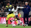 Ryan Sessegnon wordt door Tottenham uitgeleend aan Hoffenheim