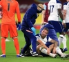 Toby Alderweireld valt uit met blessure aan de lies 