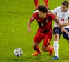 "Je mag hem een keer laten testen bij de Rode Duivels met de afwezigheid van Witsel"