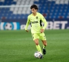 Joao Felix valt geblesseerd uit