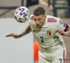 Toby Alderweireld vindt via sociale media fan die boodschap voor hem had