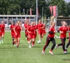 Twente is er opnieuw aan begonnen, met nieuwe aanwinst Jarne Teulings