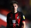 Speler van Bournemouth komt met fantastisch nieuws naar buiten