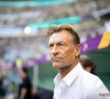 Vraagtekens bij boodschap van Hervé Renard: "Geen sollicitatie bij België"