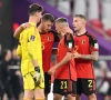 Alderweireld en Vertonghen hebben "alle hoeken van het veld gezien"