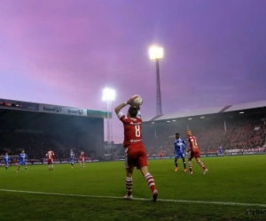 Nieuwe Bosuil ten vroegste eind september klaar, deze oplossing heeft Antwerp voor zijn vele fans bedacht