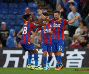 ? ? Crystal Palace-fan maakt compilatie Doelpunt Van de Maand voor zijn club, veel werk heeft hij niet gehad