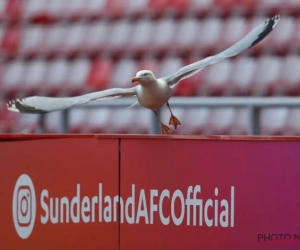 23-jarige telg van familie Louis-Dreyfus wordt eigenaar van Sunderland in League One