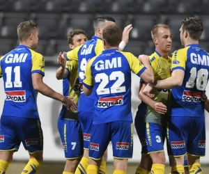 Bommelding in regio Westerlo: Kemphanen brengen redding