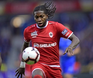 "De transfer van Mbokani is een sterk signaal van de directie naar de supporters toe"