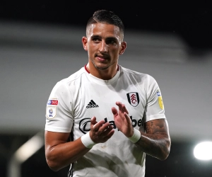 Fulham promoveert en neemt een resem oude bekenden van de Pro League mee naar de Premier League