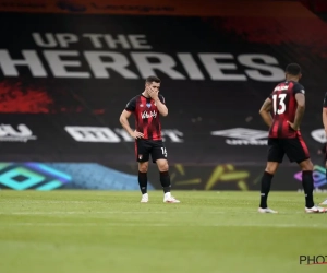 Bournemouth verzekert zich van een plaats in de Premier League