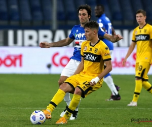 Belgen moeten Parma mee naar de Serie A loodsen: "Het komt allemaal wel goed"