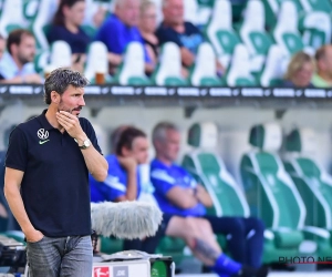 Mark Van Bommel wil geen tijd verliezen met Antwerp: "We hebben vier weken en dan moeten we er staan"