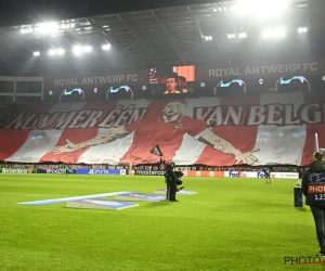 Antwerp tifo Alderweireld 