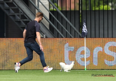 📷 🎥 Duel in Eredivisie stilgelegd na protest en... een kip op het veld