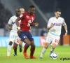 Zulte Waregem huurt Soualiho Meïté van Lille OSC