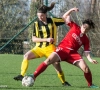 Lierse Vrouwen blikken vooruit op play-off 1: "Voetballend zijn we misschien wel de beste ploeg"