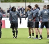 Duwt Lukaku Vertonghen richting het centrum? "Dat heeft hij slim gezien"