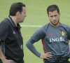 Wilmots maakt zijn strategie voor de match tegen Hongarije bekend