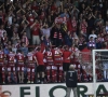 Wat vinden KV Kortrijk-fans van trainerswissel? "Ontslag van De Boeck was te verwachten" vs. "Vanderhaeghe heeft onze club belachelijk gemaakt"