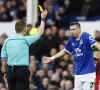 Morgan Schneiderlin gaat terug in Frankrijk voetballen