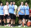 'AC Milan plant nieuwe topaankoop en heeft miljoenen over voor speler van Bayern München'