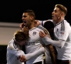 Fulham plukt Portugees international weg bij Wolverhampton 