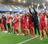 Ives Serneels maakt eerste selectie Red Flames zonder Aline Zeler bekend