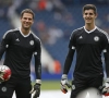 Asmir Begovic vervangt Pepe Reina bij AC Milan