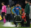 De blessure van Dries Mertens lijkt mee te vallen