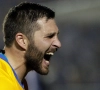 Tigres wint finale Concacaf Champions League dankzij doelpunt van André-Pierre Gignac