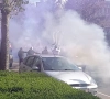 🎥 Honderden Anderlecht-fans wachten spelersbus op en laten zien wat ze verwachten