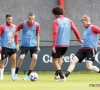 📷 "With the big boys": Jongeling Anderlecht mag meetrainen van Roberto Martinez