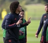 Axel Witsel haalt het selectiebeleid van Domenico Tedesco bij de Rode Duivels onderuit