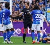 Zowel Anderlecht-coach Riemer als Genk-coach Vrancken zeer kritisch voor ref Bram Van Driessche