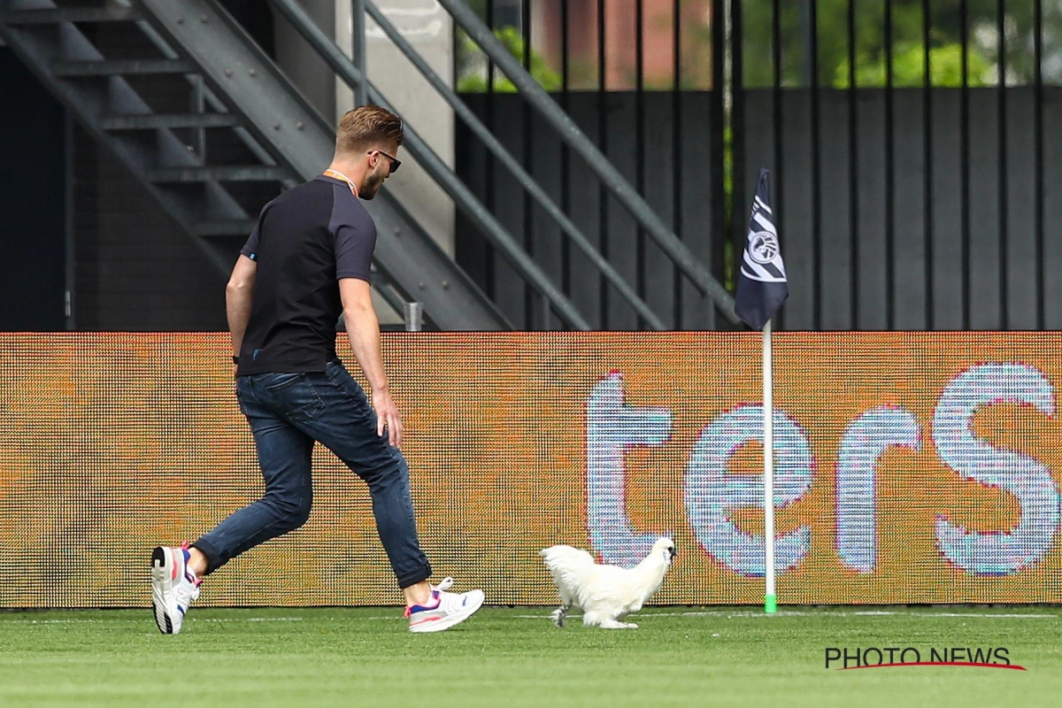 📷 🎥 Duel in Eredivisie stilgelegd na protest en... een kip op het veld