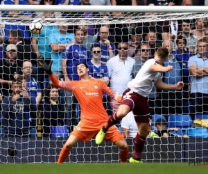 ? Wil je kattenreflexen zoals Thibaut Courtois? Train met gekleurde pingpongballen