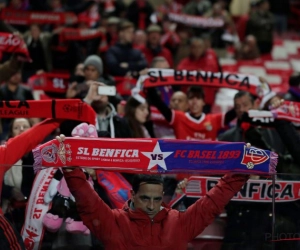 'Rechtsachter Benfica duikt op bij ploeg uit rechterkolom Jupiler Pro League'